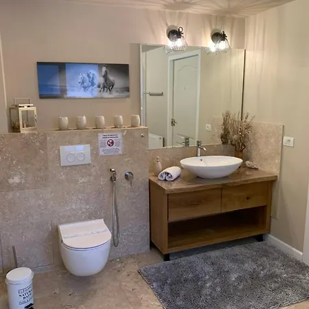 Subterranean Idyll In The House Of Peace Apartment Timisoara