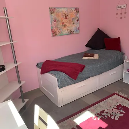 Subterranean Idyll In The House Of Peace Apartment Timisoara