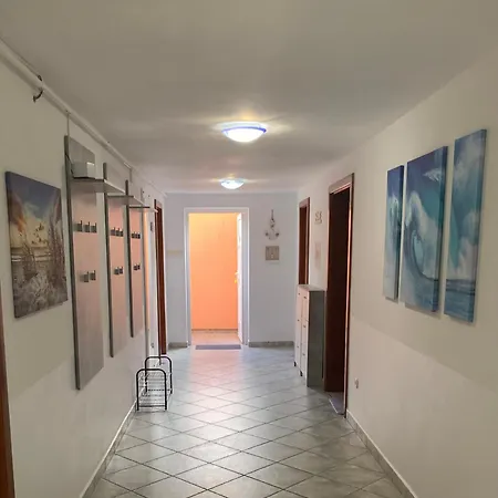 Subterranean Idyll In The House Of Peace Apartment Timisoara