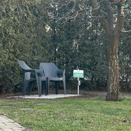 Subterranean Idyll In The House Of Peace Timişoara